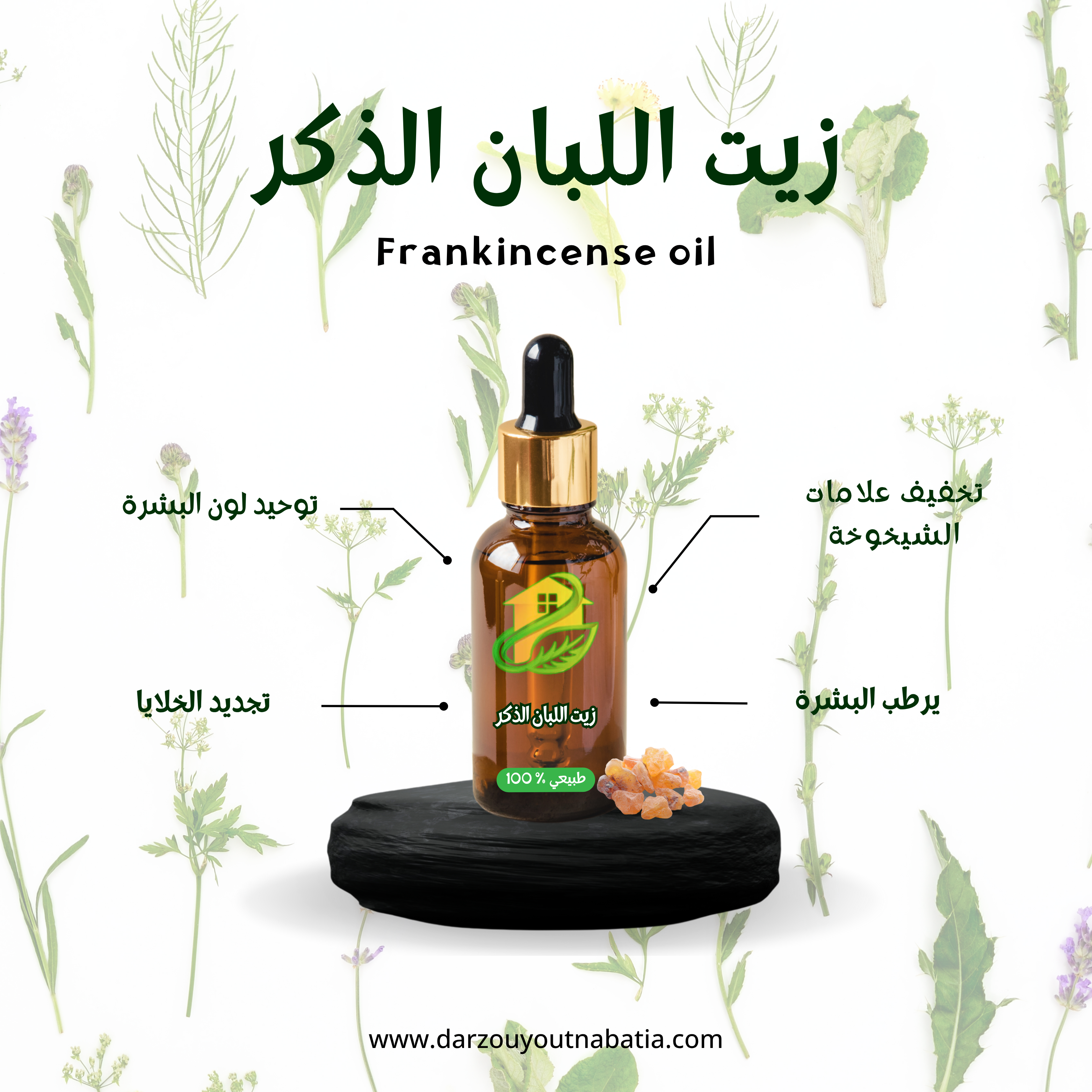 زيت اللبان الذكر ( 30 مل ) - Image 2